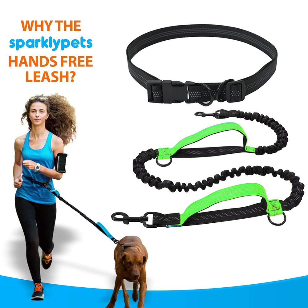 Bungee Dog Leash Shock Absorbing - Correa para perros con diseño que