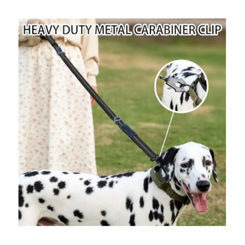Correas reflectantes que absor - Bungee Dog Leash Shock Absorbing reseña y precio