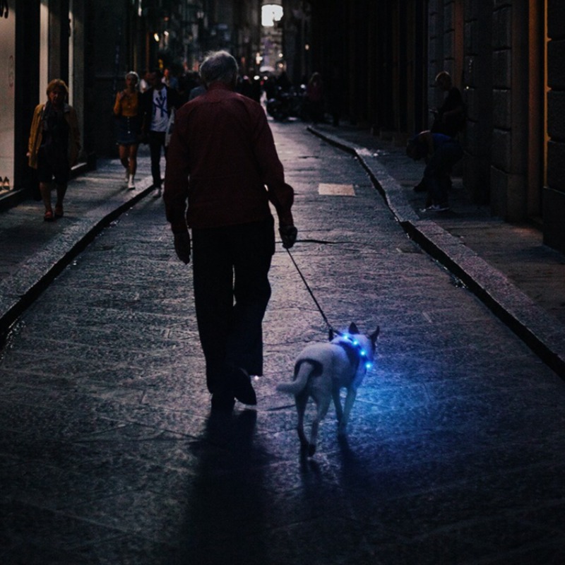 Collar LED Recargable por USB  - Led Dog Collar Glowing Rechargeable Usb reseña y precio