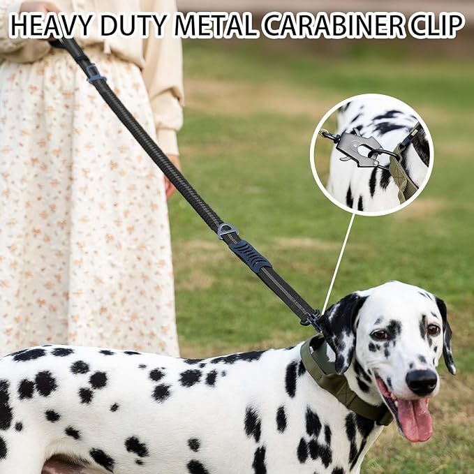 Correa Reflectante para Perros - Bungee Dog Leash Shock Absorbing reseña y precio