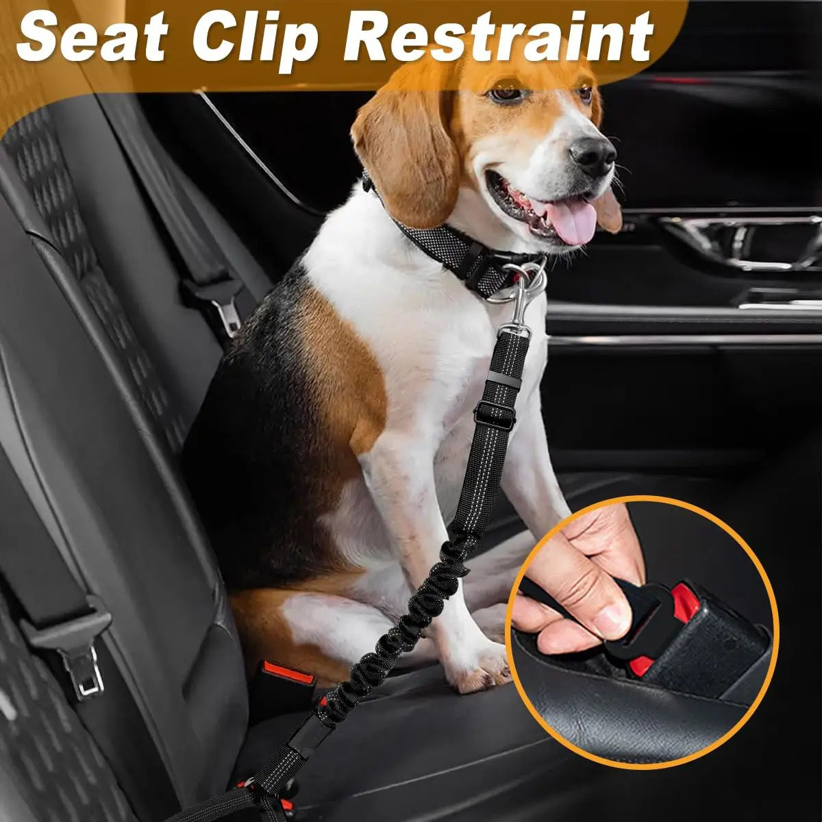 Arnés de cinturón de seguridad - Bungee Dog Leash Shock Absorbing reseña y precio
