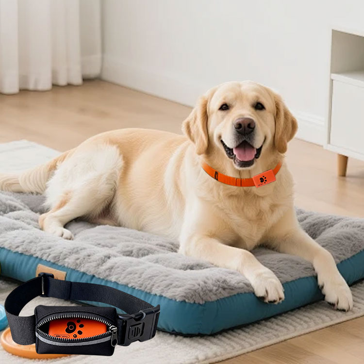 Monitor de Actividad para Masc - Pet Activity Health Monitor Tracker reseña y precio