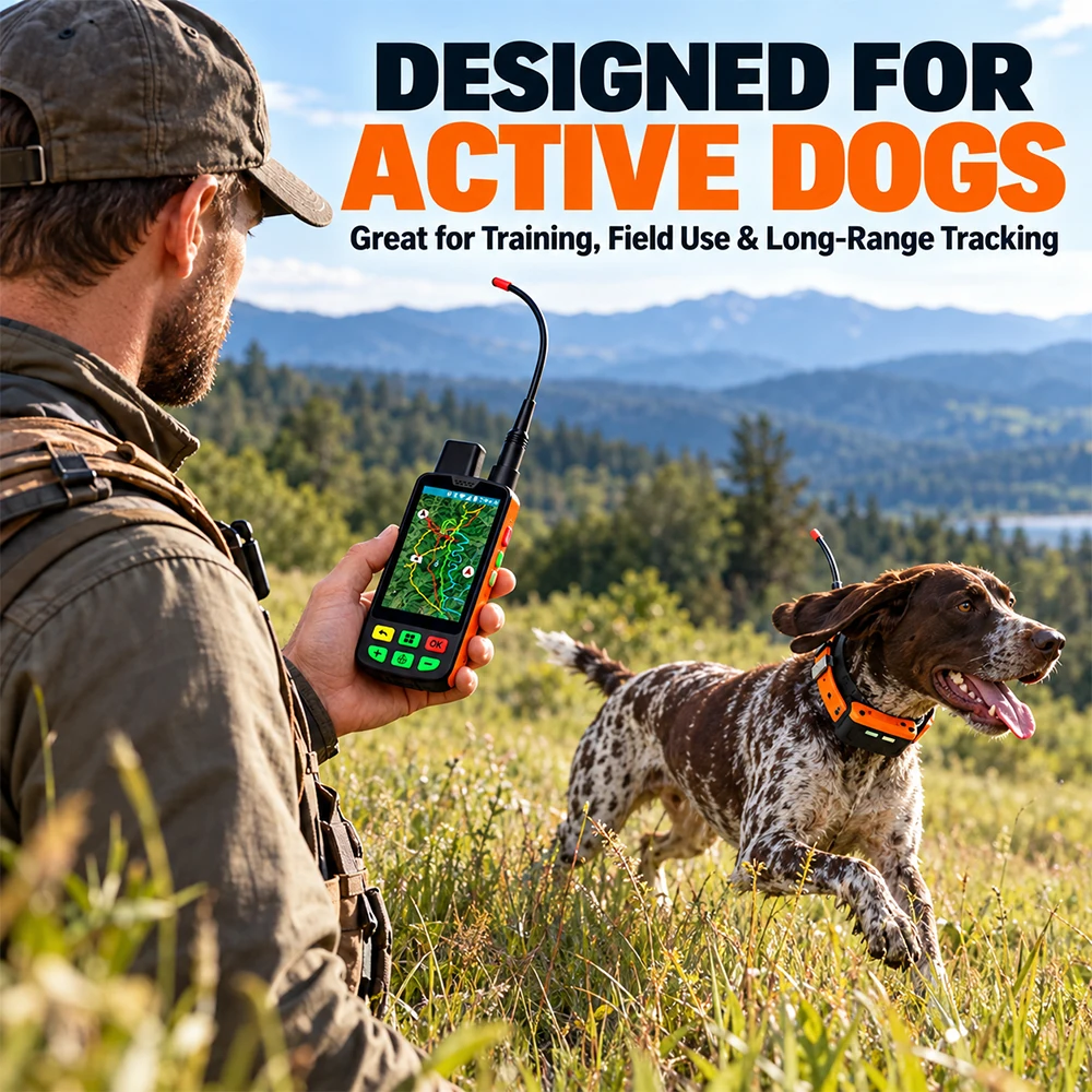 SIHAO: dispositivo de seguimie - Dog Gps Tracker Collar 4G Waterproof reseña y precio