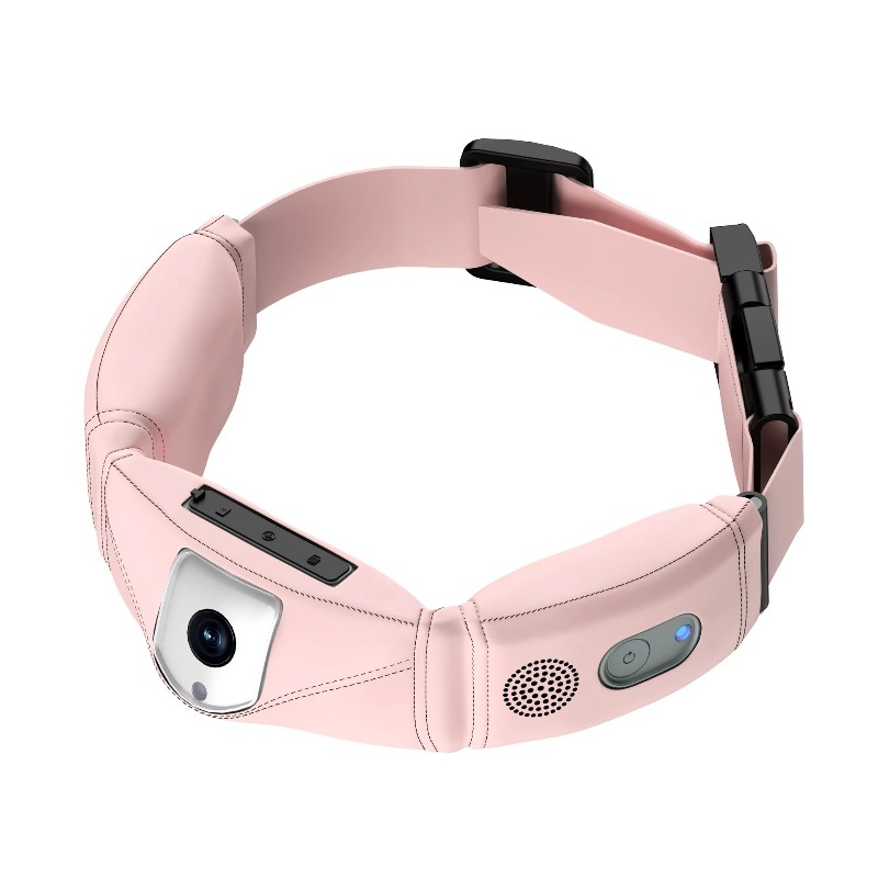 Collar con Rastreador GPS 4G p - Dog Gps Tracker Collar 4G Waterproof reseña y precio