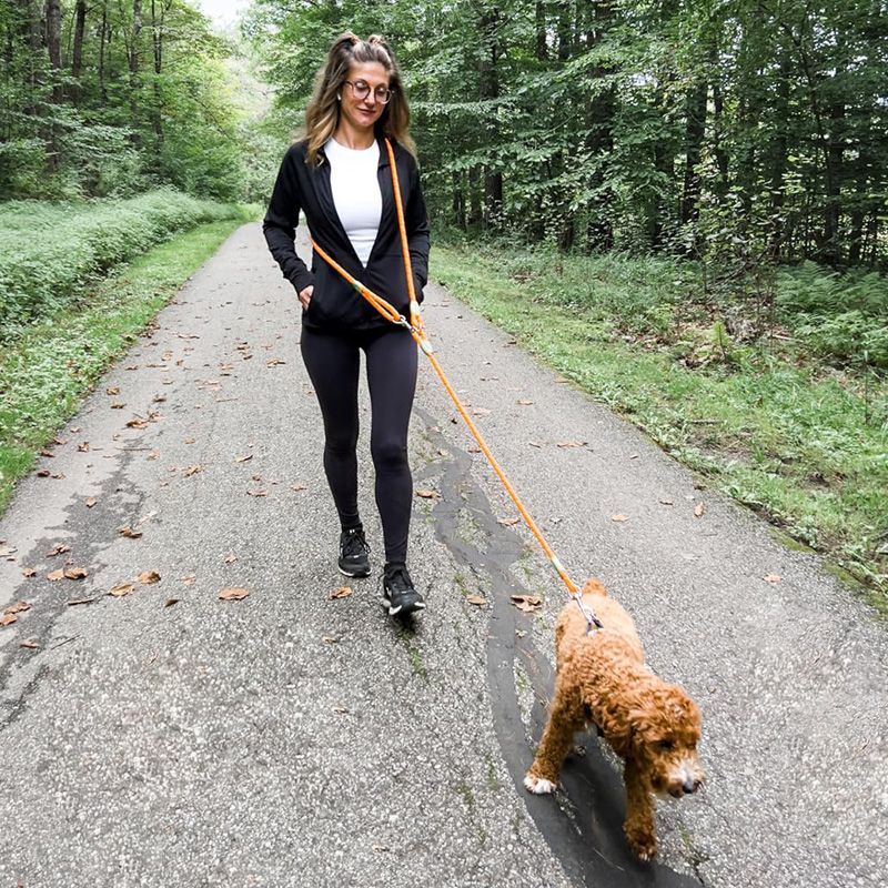 Correa ajustable para perros c - Hands Free Dog Running Leash Waist Belt reseña y precio