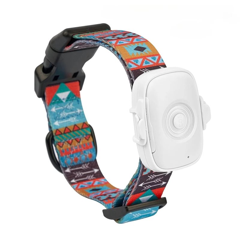 【MUST-HAVE】 Localizador GPS de - Dog Gps Tracker Collar 4G Waterproof reseña y precio