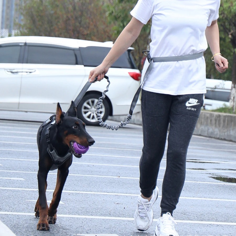 Correa de Perro Manos Libres p - Hands Free Dog Running Leash Waist Belt reseña y precio