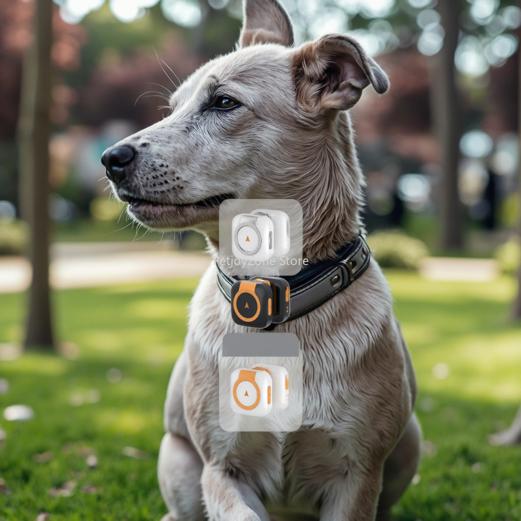Rastreador GPS Popular para Ma - Dog Gps Tracker Collar 4G Waterproof reseña y precio