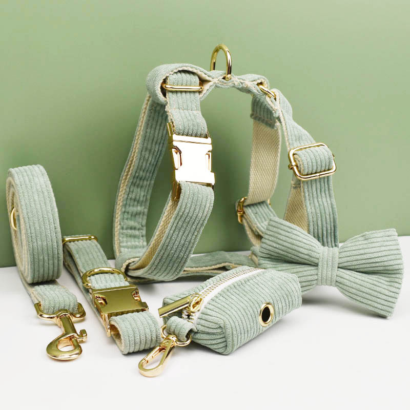 Conjunto de collar y correa pa - Reflective Dog Collar Personalized Engraved reseña y precio