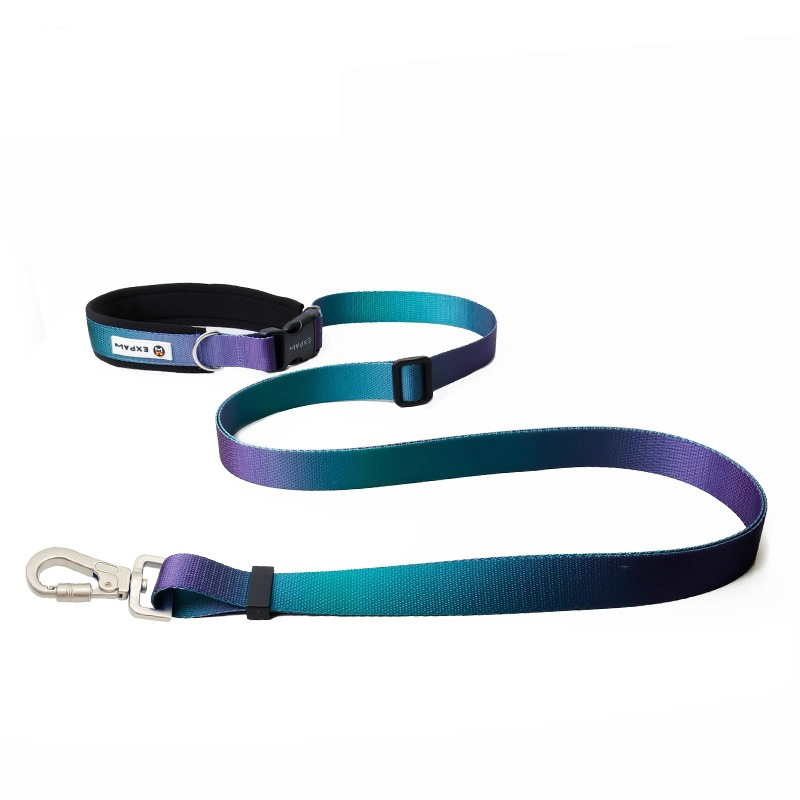 Correa para perro manos libres - Hands Free Dog Running Leash Waist Belt reseña y precio