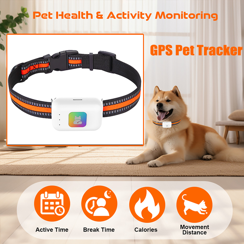Rastreador GPS portátil con Fl - Dog Gps Tracker Collar 4G Waterproof reseña y precio