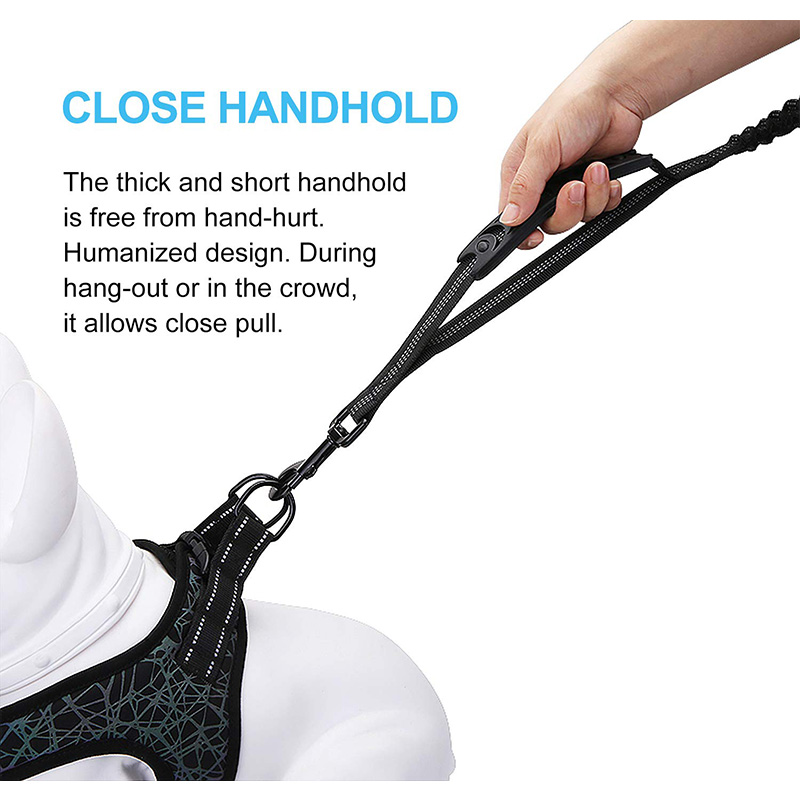 Correa elástica resistente alt - Bungee Dog Leash Shock Absorbing reseña y precio