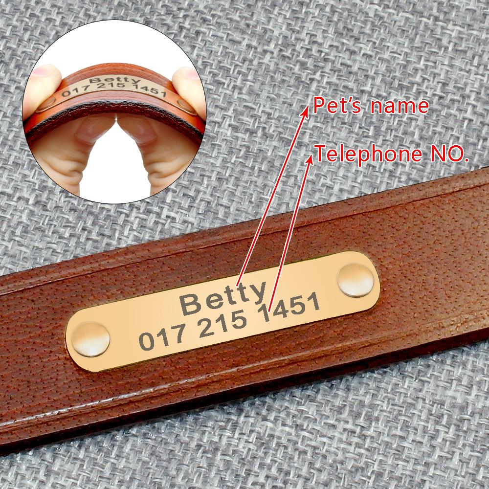 Collar de cuero genuino para p - Reflective Dog Collar Personalized Engraved reseña y precio