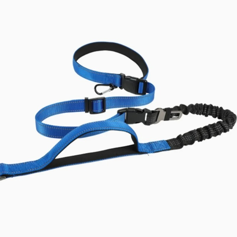 Correa para perros con absorci - Bungee Dog Leash Shock Absorbing reseña y precio