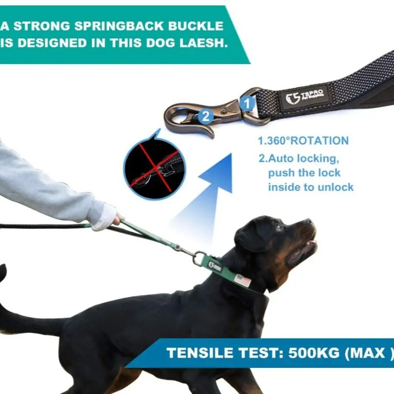 Correa para perros con absorci - Bungee Dog Leash Shock Absorbing reseña y precio
