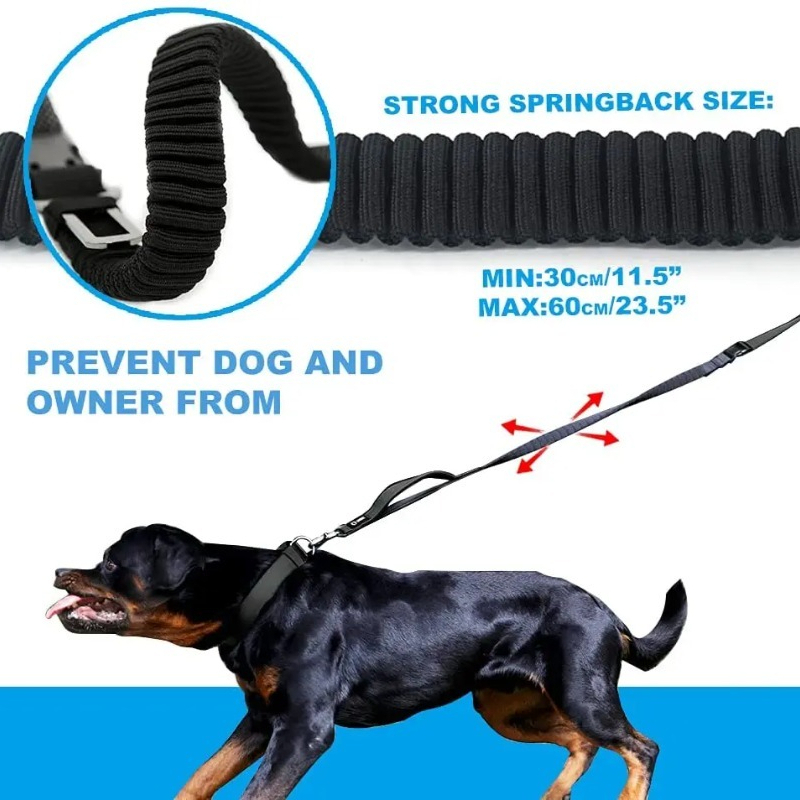 Correa para perros con absorci - Bungee Dog Leash Shock Absorbing reseña y precio