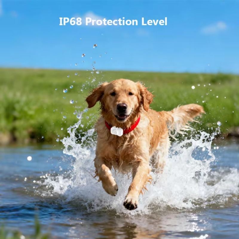 Nuevo Collar Rastreador GPS 4G - Dog Gps Tracker Collar 4G Waterproof reseña y precio