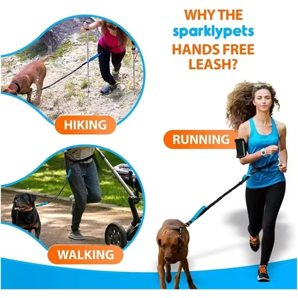 Correa para perros con diseño  - Bungee Dog Leash Shock Absorbing reseña y precio