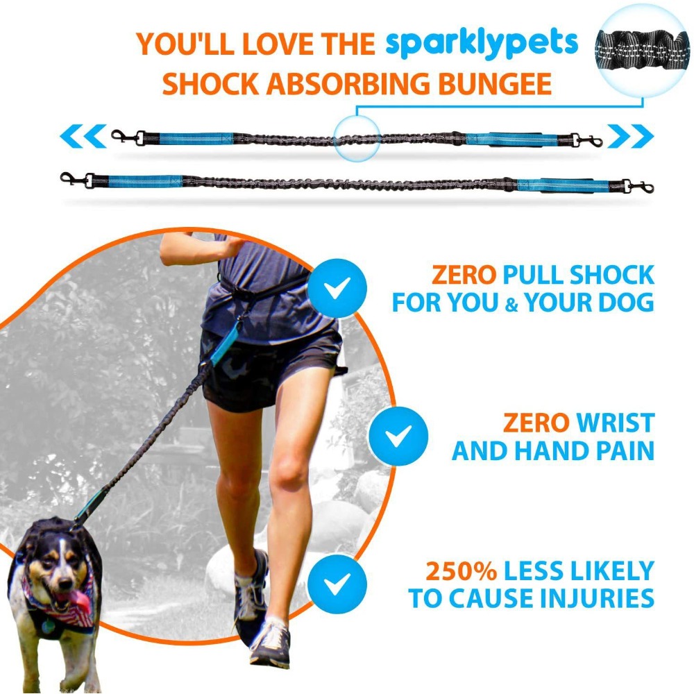 Correa para perros con diseño  - Bungee Dog Leash Shock Absorbing reseña y precio