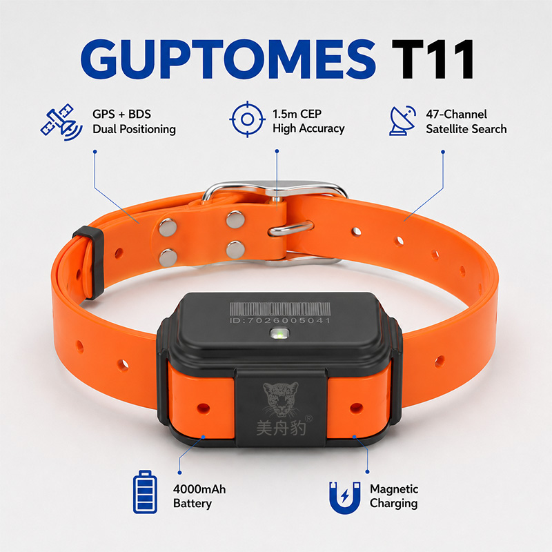 Rastreador GPS 4G T11 para Per - Dog Gps Tracker Collar 4G Waterproof reseña y precio