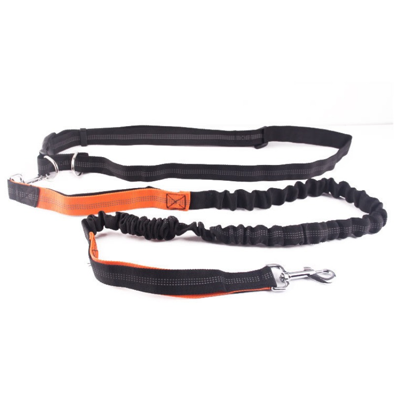 Correa de mano libre para perr - Hands Free Dog Running Leash Waist Belt reseña y precio