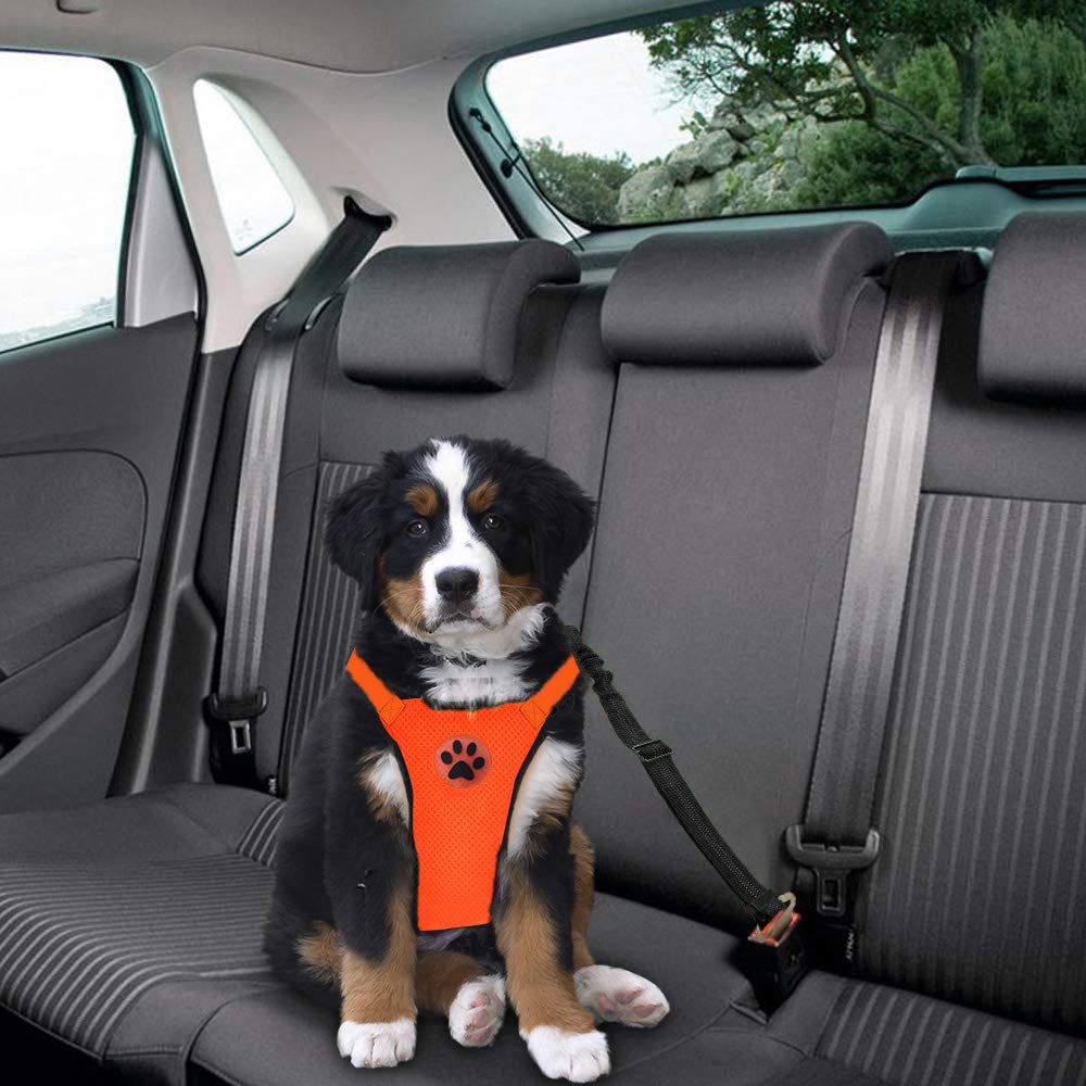 Conjunto de cinturón de seguri - Dog Seat Belt Harness Safety Tether reseña y precio