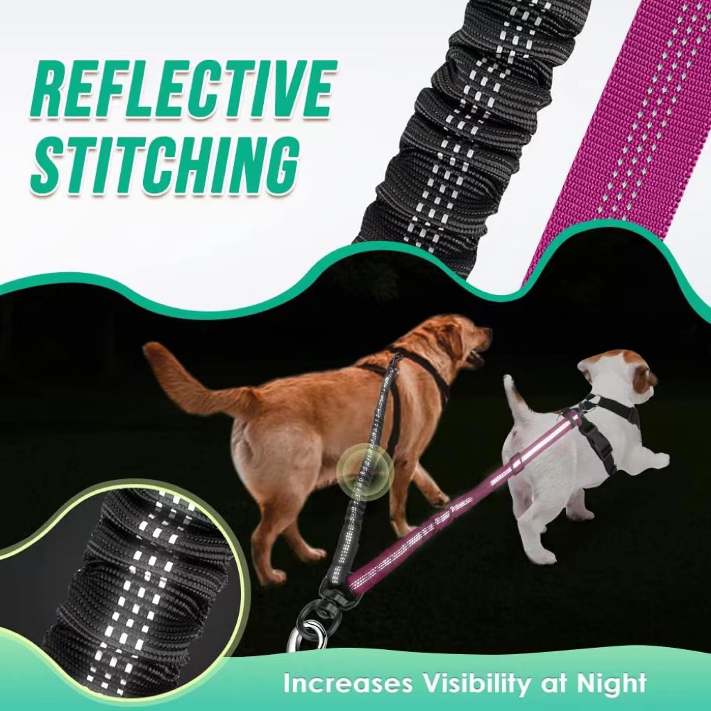 Correa doble para perro de 1,6 - Bungee Dog Leash Shock Absorbing reseña y precio