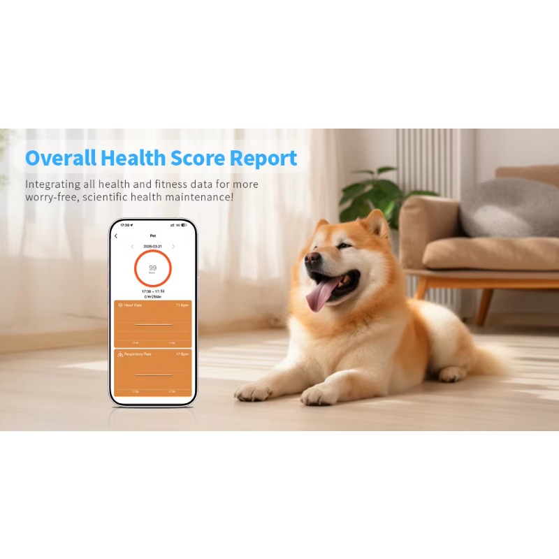 Rastreador GPS para Mascotas Q - Pet Activity Health Monitor Tracker reseña y precio